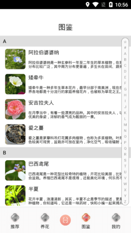 养花伴手机版