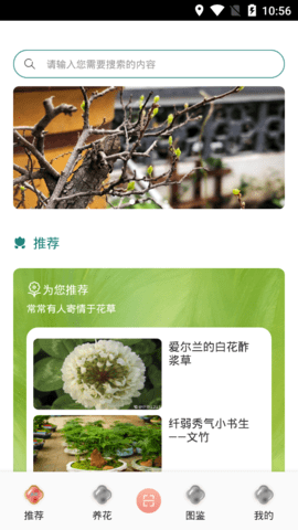 养花伴手机版
