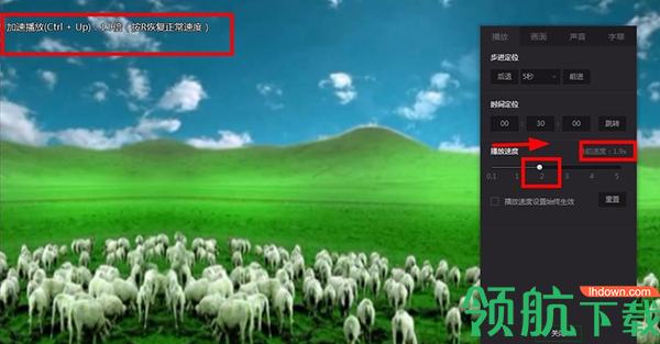 爱奇艺万能播放器