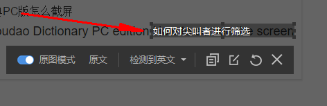 网易有道词典官方版