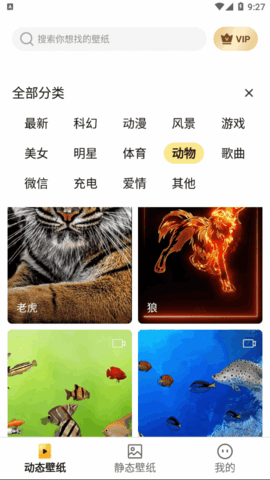 启晖西瓜壁纸软件App