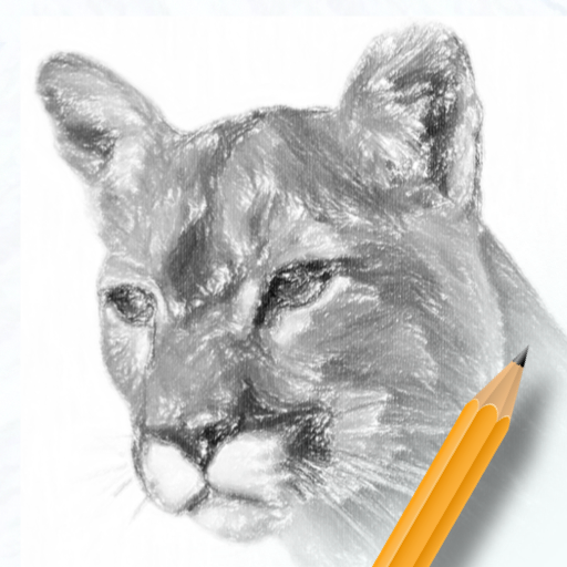 素描绘画入门教程APP免费版