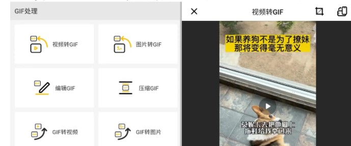 GIF Master动图处理工具