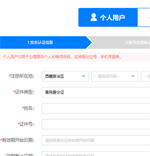 西藏政务服务平台手机版