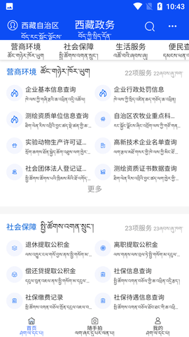 西藏政务服务平台手机版