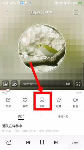 M站哔咪哔咪APP最新版