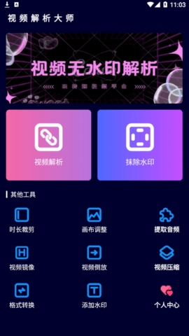 视频解析大师最新版