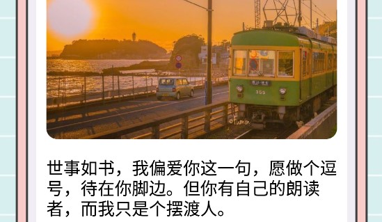 阳光写作猫素材库软件