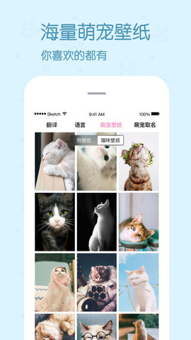 动物语言翻译器