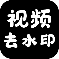 视频水印处理免费版