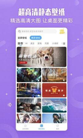 360小鸟壁纸