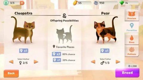 猫舍与动物之友无限金币版
