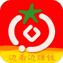 番茄看点APP