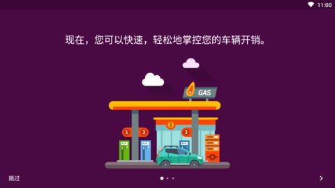 Drivvo Pro