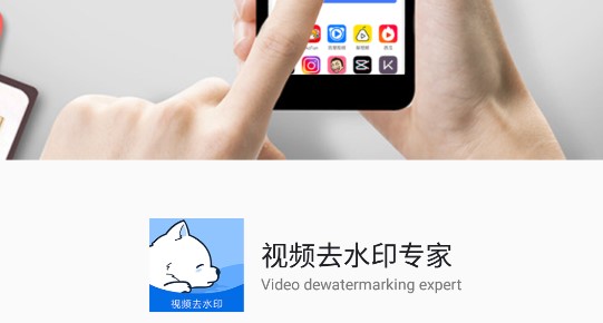 视频去水印破解版