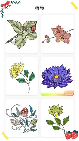 我的涂色本