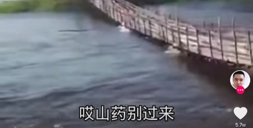 猿星球短视频2026最新版
