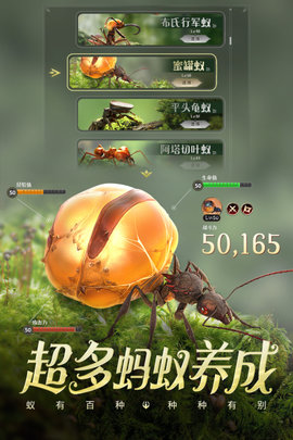 小小蚁国