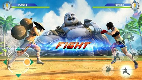 功夫格斗勇士中文版
