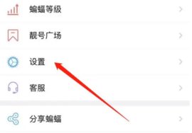 蝙蝠聊天手机版