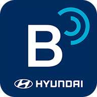 bluelink免费版