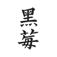 黑莓免费小说去广告版