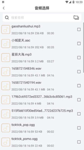音频格式大师免费版