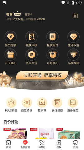 桔多多 (5)