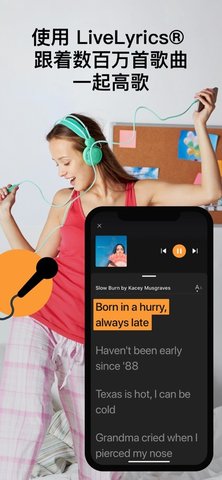 SoundHound(音乐播放器)app