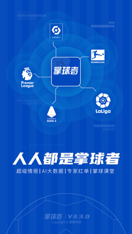 掌球者 (2)