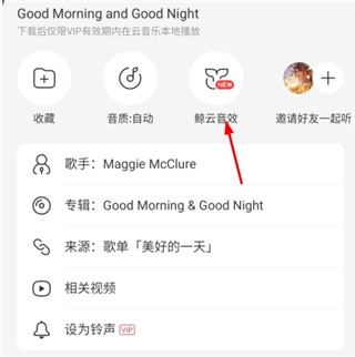 网易云音乐精简修复版