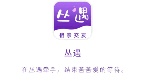 丛遇相亲交友App官方版