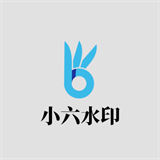 小六水印免费版