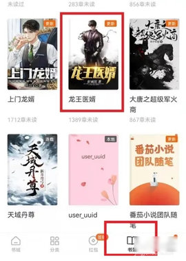 西红柿小说网永久vip破解版