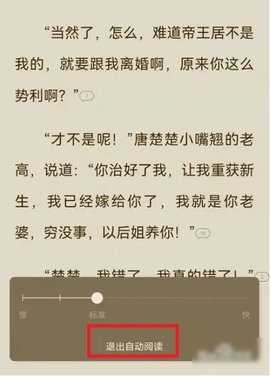 西红柿小说网永久vip破解版