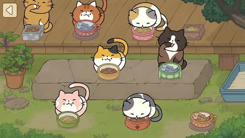 发现猫咪免广告版