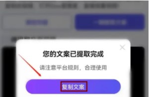 AI批量视频生成工具手机版
