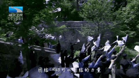 西红柿TV