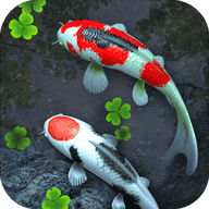 Water Garden Premium(鱼池)2022最新版