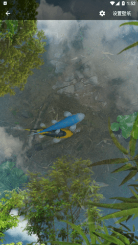 Water Garden Premium(鱼池)2022最新版