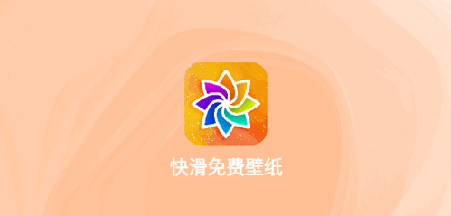 快滑免费壁纸软件App