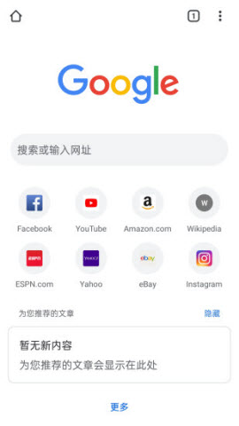  谷歌浏览器(Google Chrome)App