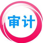 鼎信诺审计系统5000绿色破解版