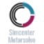 SiemensSimcenterMotorSolve2019中文破解版