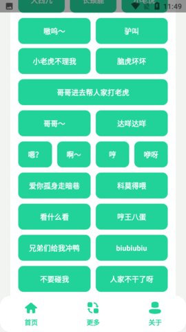 夹音盒