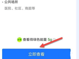 支付宝怎么查看孩子健康码 查询孩子健康码方法