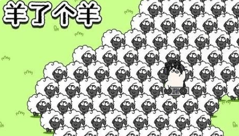 羊了个羊每日最新通关攻略 10月13日通关教程