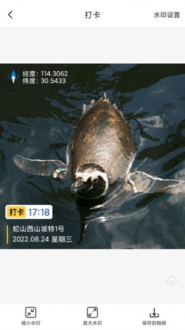 打卡定位相机免费版