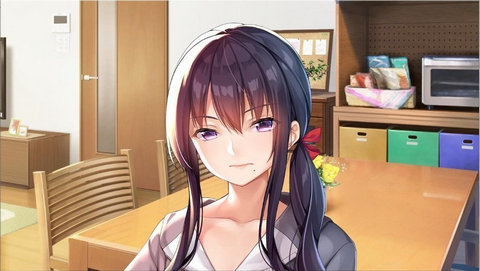 请停手吧姐姐大人要断了krkr版