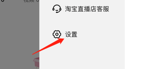点淘2024红包版